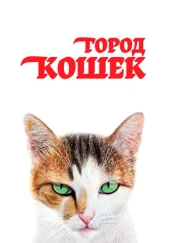 Турецкий фильм Город кошек